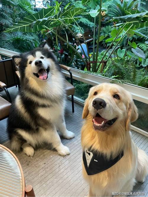 亚欧日韩中永久免费观看电视剧7799_亚欧日韩中永久免费观看电视剧7799_亚欧日韩中永久免费观看电视剧7799