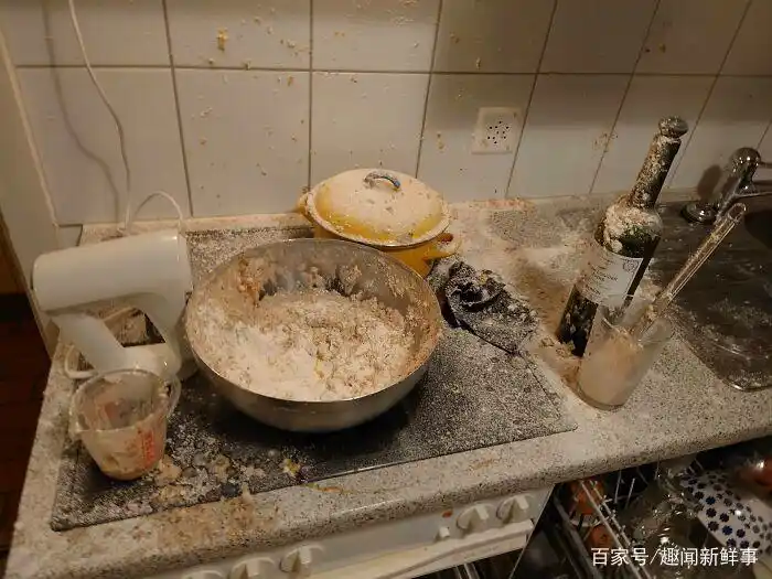 烤箱食物失败案例_明星黑暗料理图片大全高清,_煮鸡蛋爆炸